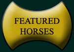 Featured Horses