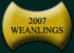 Weanlings